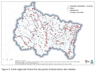 Extrait - Atlas des naïades de la région Grand Est (2022, OFB)