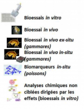 Gamme de bioessais utilisés Projet Micropolis Indicateurs
