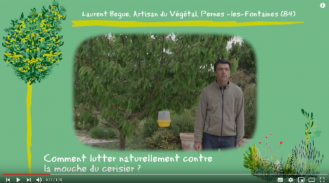  Video_Artisans du vegetal.png 