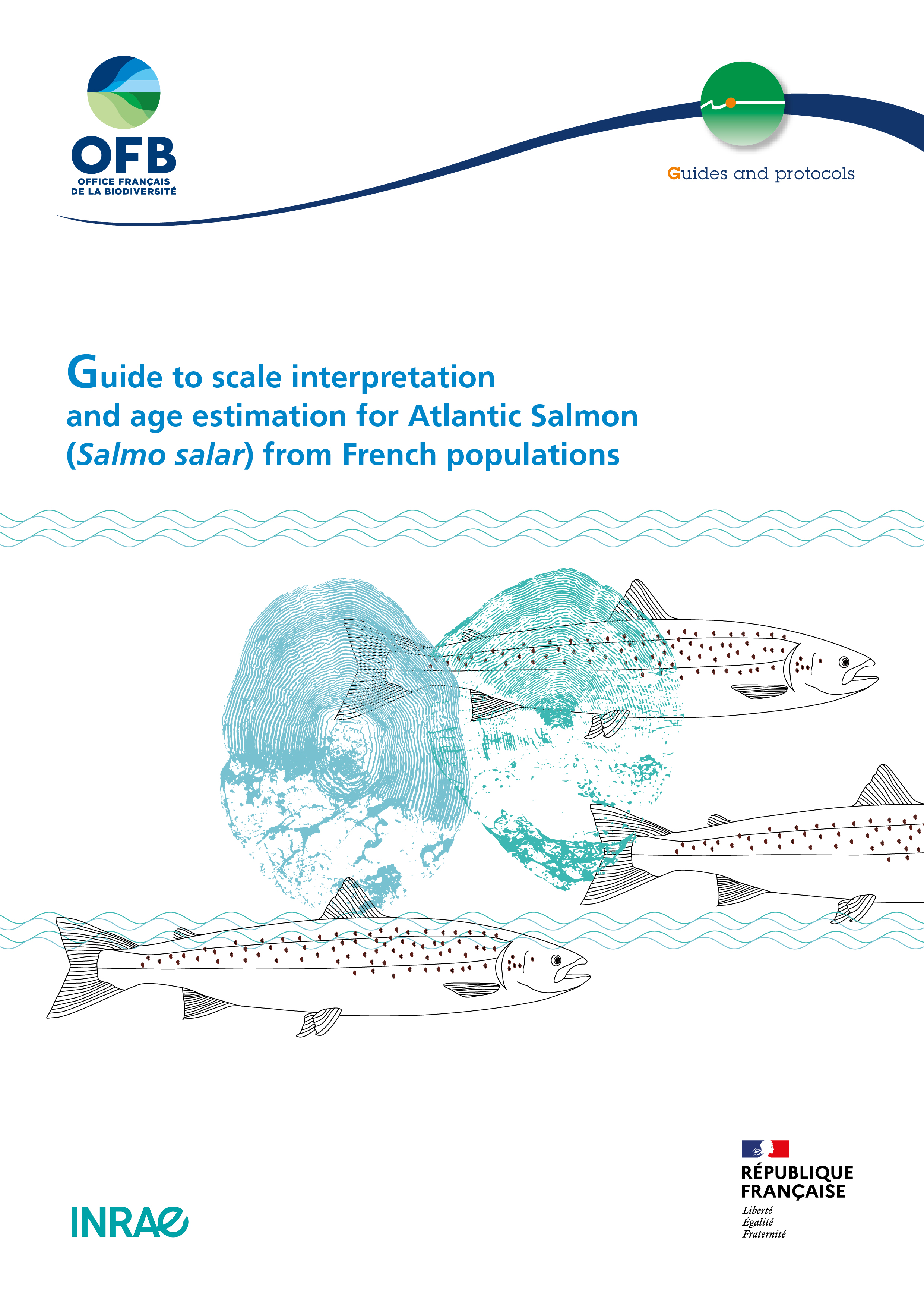  GP2023_Atlantic-Salmon-Scales_couv.jpg