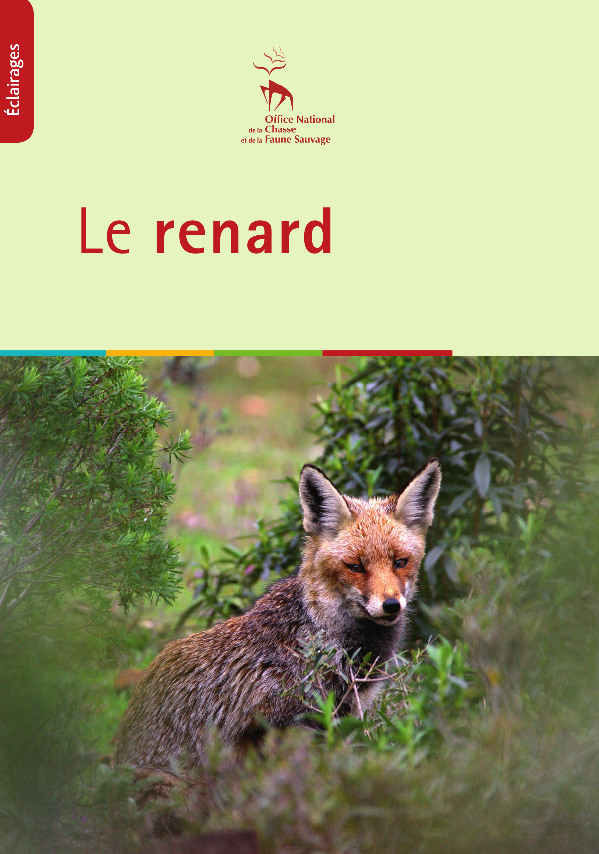 Le renard  Office français de la biodiversité
