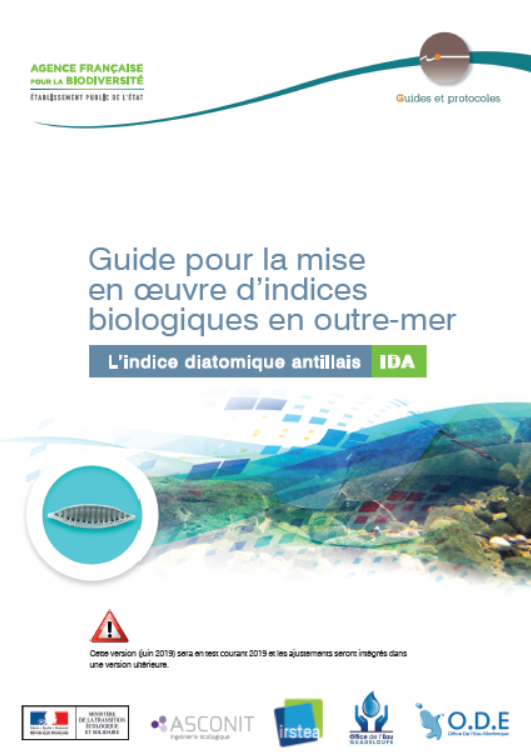 guide IDA