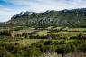 Paysage des Alpilles bocager (Thomas Gendre, OFB)