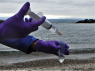 Concentration de l’ADN environnemental à partir d’un échantillon d’eau
