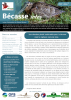 BecasseInfos31_2022_couv.png
