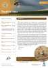 Perdrix-infos_2023-01_n31_couv.png