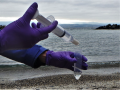 Concentration de l’ADN environnemental à partir d’un échantillon d’eau 