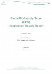 GBSreview-final-report-2020-06-19.png