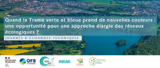 Jet2023_TVB-couleurs_visuel.png