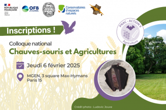 Visuel du colloque national 2025 Concilier pratiques agricoles et conservation des Chiroptères