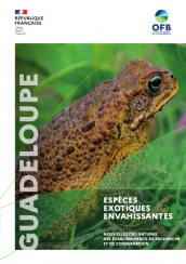 2021_EEE_Guadeloupe_Recherche_couv.png