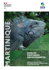 2021_EEE_Martinique_Recherche_couv.png