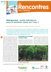Rencontres38_Mangroves DCE_2016_couv