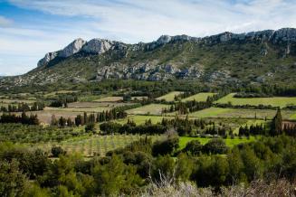 Paysage des Alpilles bocager (Thomas Gendre, OFB)