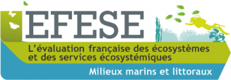 logo Efese