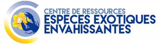 Logo CDR EEE