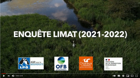  2021_Enquete_LIMAT_video.png 