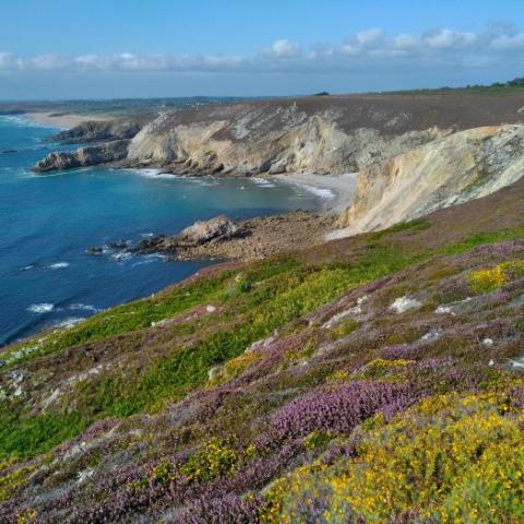habitats_bretagne_RemyPoncetUMS