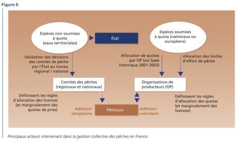 Schéma des principaux acteurs intervenant dans la gestion collective des pêches en France (figure 6, Gestion collective des ressources, Comprendre pour agir, 2024, OFB)