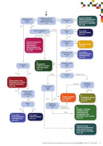 Clé de détermination du niveau 1 des habitats de la typologie Eunis (Guide et  protocoles, OFB, 2018 réédité 2025)