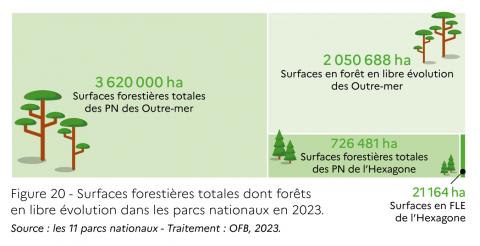 Figure 20 - Surfaces forestières totales dont forêts en libre évolution dans les parcs nationaux en 2023. Source : les 11 parcs nationaux - Traitement : OFB, 2023 (OFB, 2025)