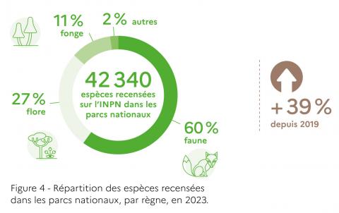 Figure 4 - Répartition des espèces recensées dans les parcs nationaux, par règne, en 2023 (OFB, 2025)