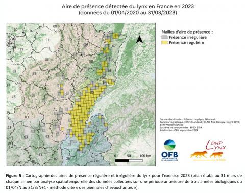Cartographie des aires de présence régulière et irrégulière du lynx pour l’exercice 2023 (Lynx flash info 2024, fig 5, OFB)