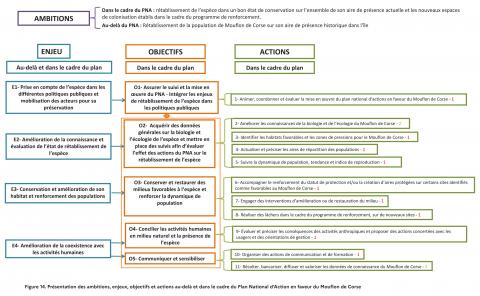 Schéma des ambitions, enjeux, objectifs et actions au-delà dans le cadre du PNA Mouflon de Corse (OFB, 2024)