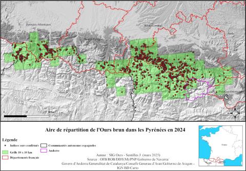 Localisations des indices de présence « confirmés » et aire de répartition de l’espèce pour 2024 (Réseau Ours brun, OFB)