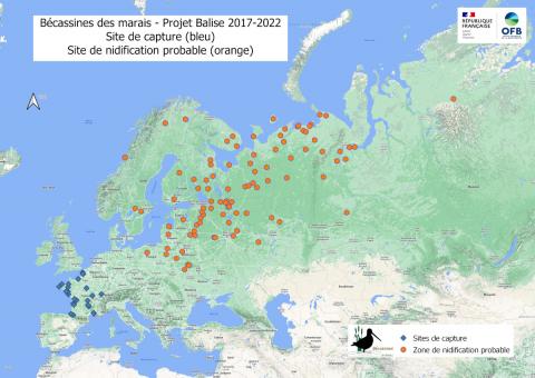 Zones potentielles de nidification, identifiées à partir des données des Bécassines des marais équipées entre 2017-2022 en France, carte provisoire, projet Balise, OFB