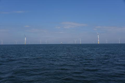Le parc de Saint-Nazaire compte 80 éoliennes en mer et produit environ 20% de la consommation en électricité de Loire-Atlantique (Benjamin Guichard, OFB)