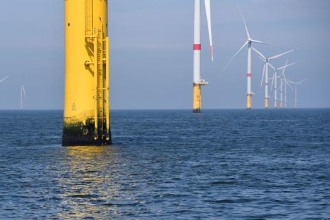 Le parc de Saint-Nazaire est composé de 80 éoliennes en mer situées entre 12 et 20 km. Il produit environ 20% de la consommation en électricité de Loire-Atlantique (Benjamin Guichard, OFB, 2024)