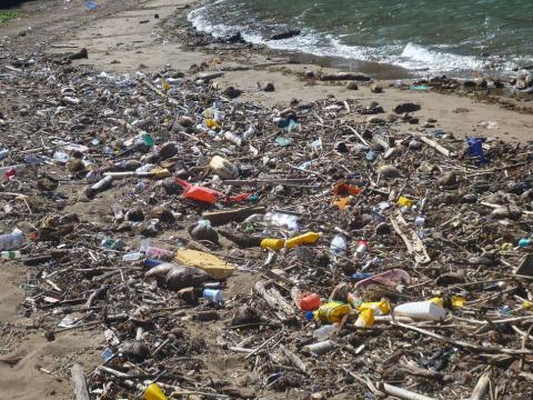 La gestion des déchets, comme ici sur la plage, est un enjeu majeur à Mayotte (Soimadou Mahamoud, OFB)
