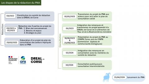 Etapes de rédaction du PNA Mouflon de Corse
