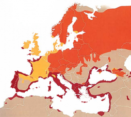 Carte de répartition de la Bécasse des bois en Europe (orange : aire de reproduction stricte, jaune : aire de reproduction et d’hivernage, rouge : aire d’hivernage stricte) (Ferrand & Gossmann, 2009)