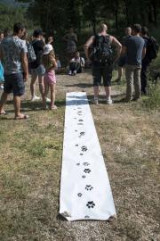 Animation pour identifier les traces de loup, ABC du parc naturel régional de Sainte-Baume, Fête de la Nature 2022 (Céline Lecomte, OFB)