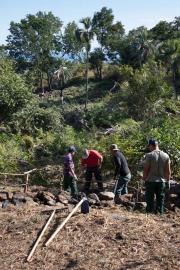 Restauration écologique de la Ravine Balthazar dans le cadre de l'ABC de la Réunion (Céline Lecomte, OFB)