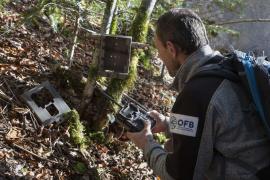 Un technicien de l'environnement OFB relever de piège photographique -Reseau-Loup-Lynx_Philippe-Massit-OFB_76012.jpg