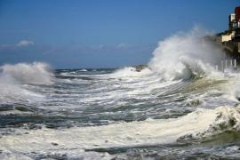 Vagues déferlant sur la côte de Wimereux lors d'une tempête (Xavier Harlay, OFB)