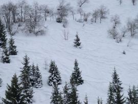 Traces de ski illustrant la fréquentation hivernale pouvant entraîner du dérangement hivernal pour le Tétras-lyre, massif de Belledonne (Isabelle Losinger, OFB)