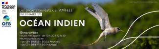 [Cycle webinaires] Présentation des projets lauréats de l’appel à manifestation d'intérêt sur les espèces exotiques envahissantes - Webinaire 1 - Océan indien - 19 novembre 2024  Horaires locaux : La Réunion 13h30 à 15h30 / Mayotte 12h30 à 14h30 / Hexagone 10h30 à 12h30