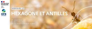 [Cycle webinaires] Présentation des projets lauréats de l’appel à manifestation d'intérêt sur les espèces exotiques envahissantes - Webinaire 2 - Hexagone et Antilles - 25 novembre 2024  Horaires locaux : Antilles 11h à 12h35 / Hexagone 16h à 17h35