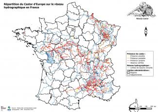 Répartition du Castor d'Europe sur le réseau hydrgraphique français (réseau Castor, OFB)