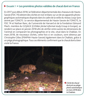 Image au piège photographique confirmant pour la première fois la présence du Chacal doré en France, en 2017 (Faune sauvage, 320, 2018)