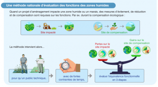 Une méthode nationale d’évaluation des fonctions des zones humides (Guides et protocoles OFB 2023, Synthèse visuelle)