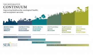 Schéma des différents stades du continuum restauratif de la nature (en anglais, SER - Society for ecological restoration)
