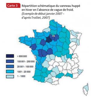 Répartition schématique du vanneau huppé en hiver en l’absence de vague de froid (Faune sauvage, hors série 2019, OFB)