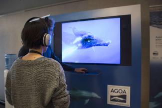 Cabine acoustique proposant une immersion sonore dans les fonds marins du sanctuaire Agoa (Julie Gourvès, OFB)