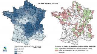Cartes nationales de l’indice d’abondance de l’Hermine et son évolution, par petite région agricole (OFB)