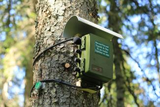 Enregistreur acoustique autonome installé dans le parc naturel du Haut Jura pour étudier l'évolution du paysage sonore de ces forêts sous l'effet du changement climatique (Frédéric Sèbe, Université Jean Monet, 42)
